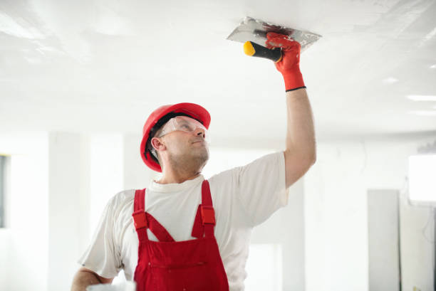 Best Attic Mold Removal  in Iowa Park, TX